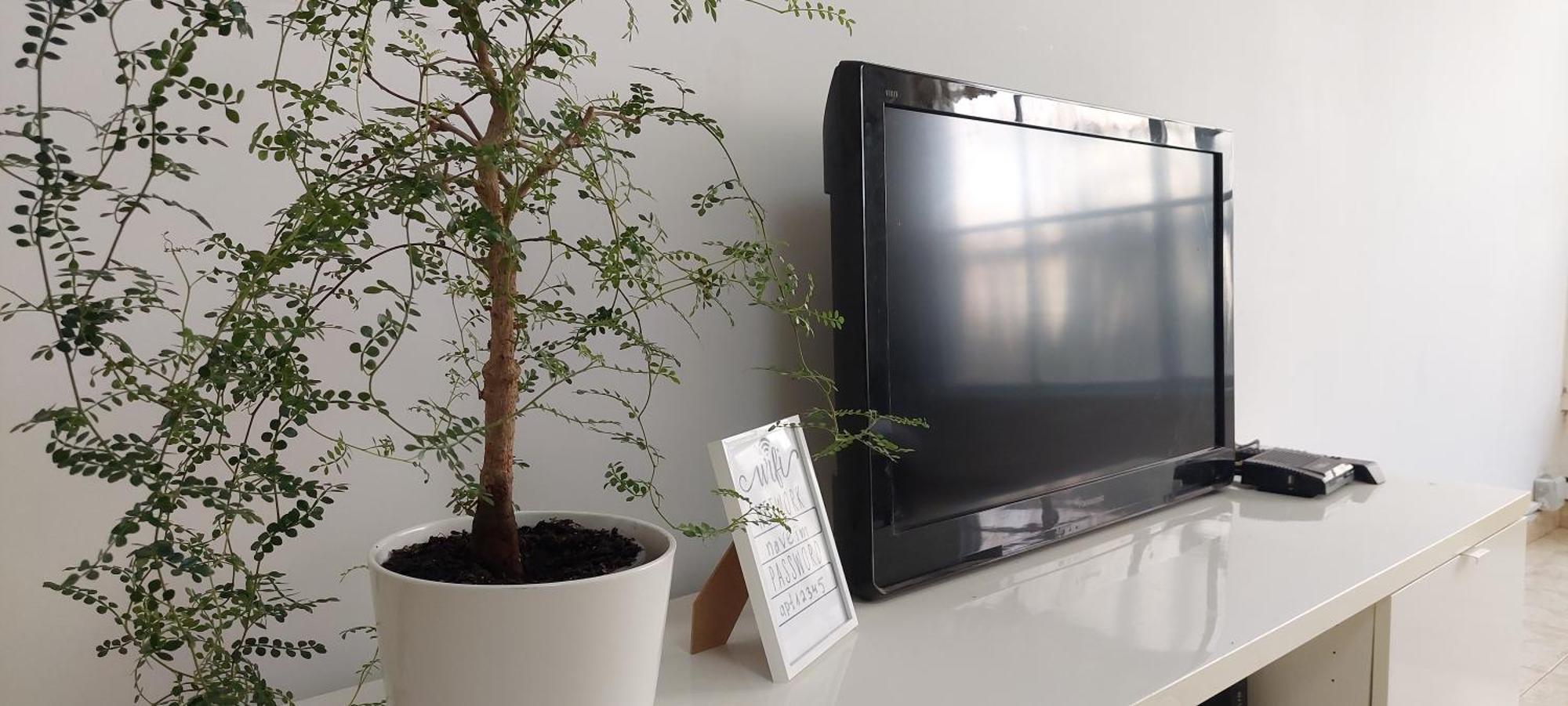 הנביאים 1 נתניה Naveim Apartment Exteriör bild